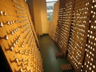 Product Line
